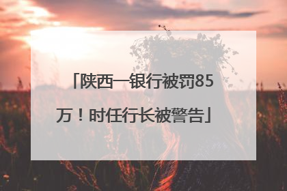 陕西一银行被罚85万！时任行长被警告