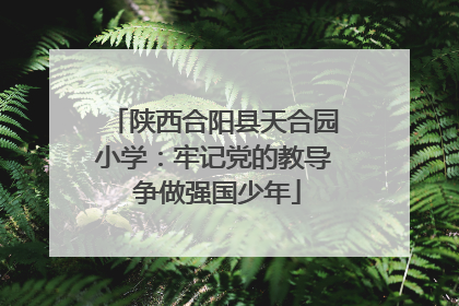 陕西合阳县天合园小学：牢记党的教导 争做强国少年