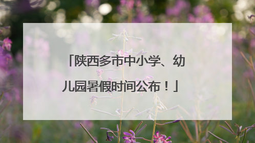 陕西多市中小学、幼儿园暑假时间公布！