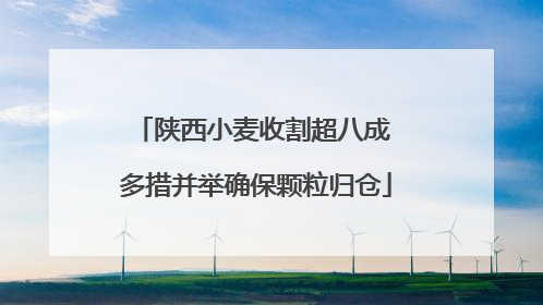 陕西小麦收割超八成 多措并举确保颗粒归仓