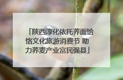 陕西淳化依托荞面饸饹文化旅游消费节 助力荞麦产业富民强县