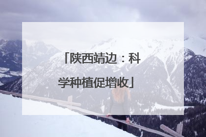 陕西靖边：科学种植促增收