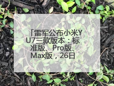 雷军公布小米YU7三款版本：标准版、Pro版、Max版，26日19时正式发布