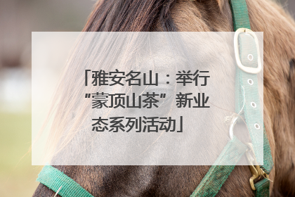 雅安名山：举行“蒙顶山茶”新业态系列活动