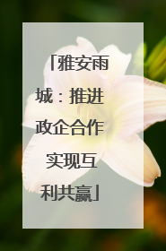 雅安雨城：推进政企合作 实现互利共赢