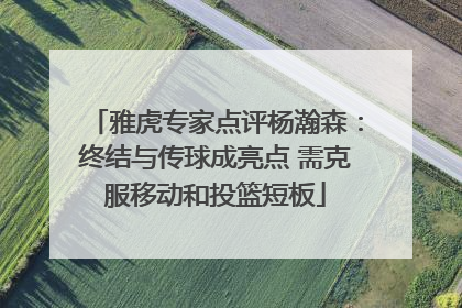 雅虎专家点评杨瀚森：终结与传球成亮点 需克服移动和投篮短板