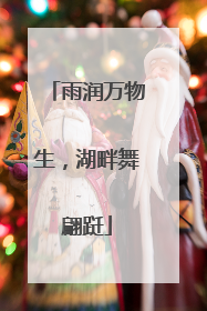 雨润万物生，湖畔舞翩跹