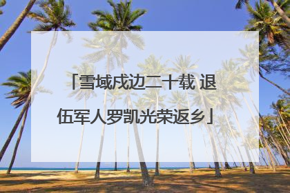 雪域戍边二十载 退伍军人罗凯光荣返乡