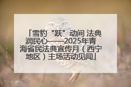 雪豹“跃”动间 法典润民心——2025年青海省民法典宣传月（西宁地区）主场活动见闻