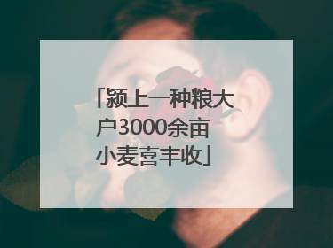 颍上一种粮大户3000余亩小麦喜丰收