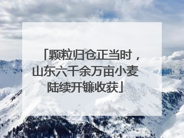 颗粒归仓正当时，山东六千余万亩小麦陆续开镰收获