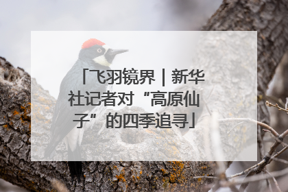 飞羽镜界｜新华社记者对“高原仙子”的四季追寻