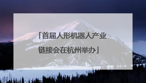 首届人形机器人产业链接会在杭州举办