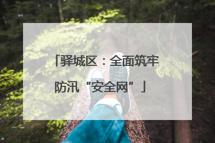驿城区：全面筑牢防汛“安全网”
