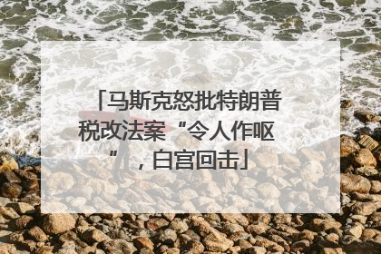 马斯克怒批特朗普税改法案“令人作呕”，白宫回击