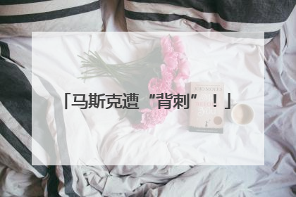 马斯克遭“背刺”！
