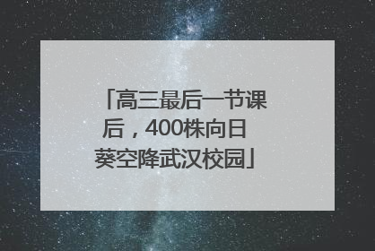 高三最后一节课后，400株向日葵空降武汉校园