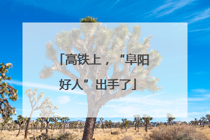 高铁上，“阜阳好人”出手了