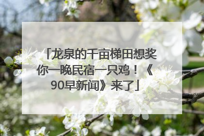 龙泉的千亩梯田想奖你一晚民宿一只鸡！《90早新闻》来了