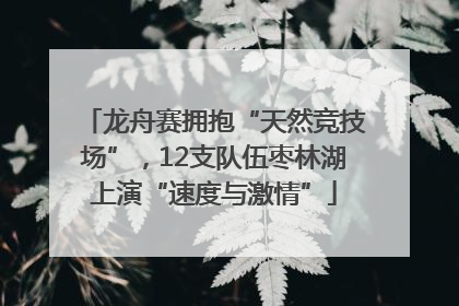龙舟赛拥抱“天然竞技场”，12支队伍枣林湖上演“速度与激情”
