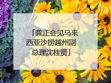 龚正会见马来西亚沙捞越州副总理沈桂贤