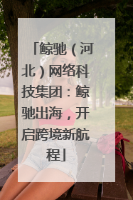 鲸驰（河北）网络科技集团：鲸驰出海，开启跨境新航程
