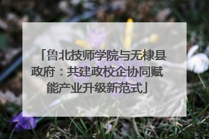 鲁北技师学院与无棣县政府：共建政校企协同赋能产业升级新范式