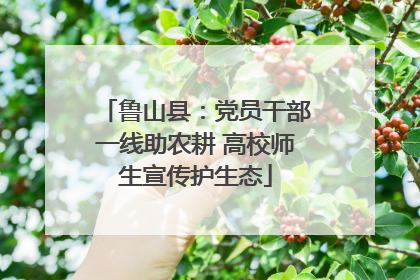 鲁山县：党员干部一线助农耕 高校师生宣传护生态