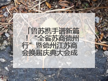 鲁苏携手谱新篇！“全省苏商德州行”暨德州江苏商会换届庆典大会成功举办