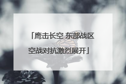 鹰击长空 东部战区空战对抗激烈展开