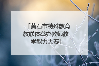 黄石市特殊教育教联体举办教师教学能力大赛