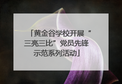 黄金谷学校开展“三亮三比”党员先锋示范系列活动