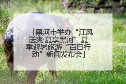 黑河市举办“江风送爽·夏享黑河”夏季避暑旅游“百日行动”新闻发布会