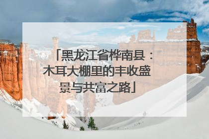 黑龙江省桦南县：木耳大棚里的丰收盛景与共富之路