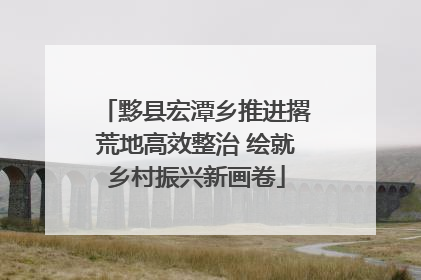 黟县宏潭乡推进撂荒地高效整治 绘就乡村振兴新画卷