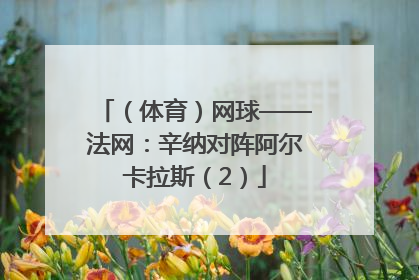 （体育）网球——法网：辛纳对阵阿尔卡拉斯（2）