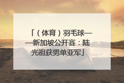 （体育）羽毛球——新加坡公开赛：陆光祖获男单亚军