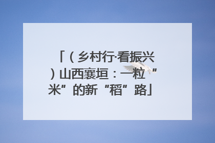 （乡村行·看振兴）山西襄垣：一粒“米”的新“稻”路
