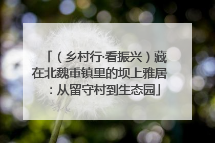（乡村行·看振兴）藏在北魏重镇里的坝上雅居：从留守村到生态园