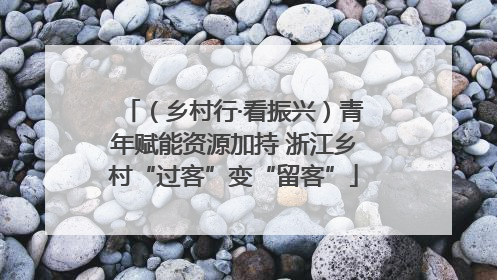 （乡村行·看振兴）青年赋能资源加持 浙江乡村“过客”变“留客”