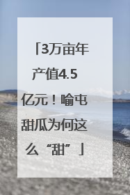 3万亩年产值4.5亿元！喻屯甜瓜为何这么“甜”
