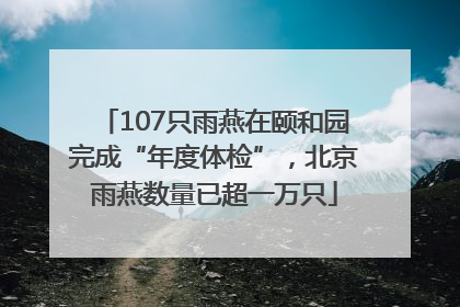 107只雨燕在颐和园完成“年度体检”，北京雨燕数量已超一万只