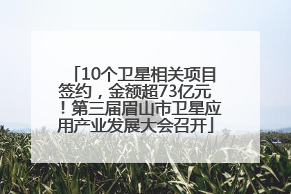 10个卫星相关项目签约，金额超73亿元！第三届眉山市卫星应用产业发展大会召开