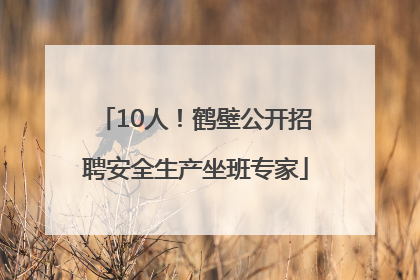 10人！鹤壁公开招聘安全生产坐班专家