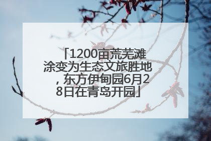 1200亩荒芜滩涂变为生态文旅胜地，东方伊甸园6月28日在青岛开园