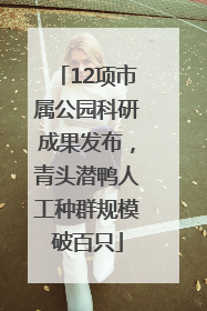 12项市属公园科研成果发布，青头潜鸭人工种群规模破百只
