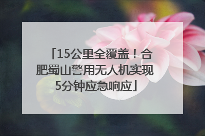 15公里全覆盖！合肥蜀山警用无人机实现5分钟应急响应