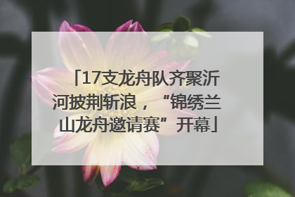 17支龙舟队齐聚沂河披荆斩浪，“锦绣兰山龙舟邀请赛”开幕