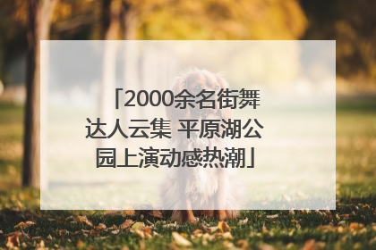 2000余名街舞达人云集 平原湖公园上演动感热潮