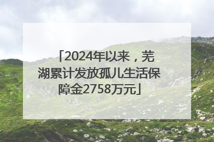2024年以来，芜湖累计发放孤儿生活保障金2758万元